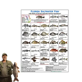 Magnetinė žvejybos identifikavimo kortelė Magnetinė kortelė su žuvų rūšių vadovu Floridos sūraus vandens žuvų identifikavimo kortelė paplūdimiui